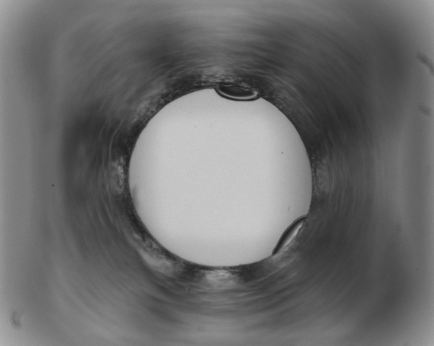 X0000103150183200809121824