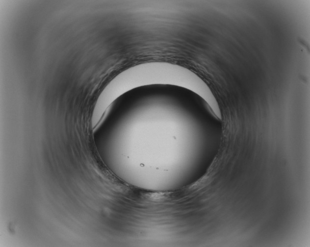 X0000103150184200809121824