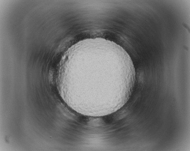 X0000103150185200809121824