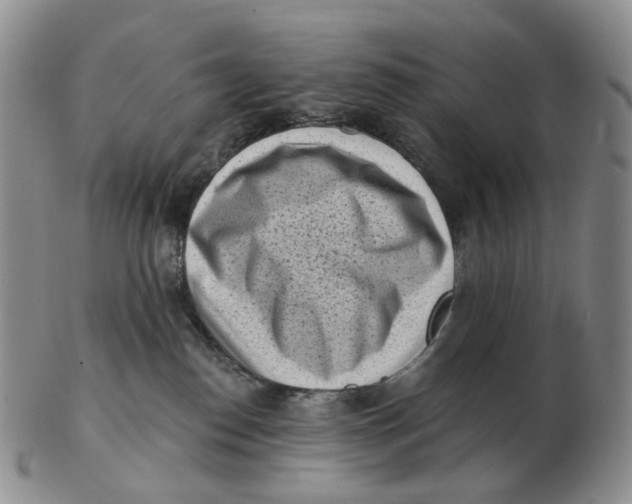 X0000103150186200809121824