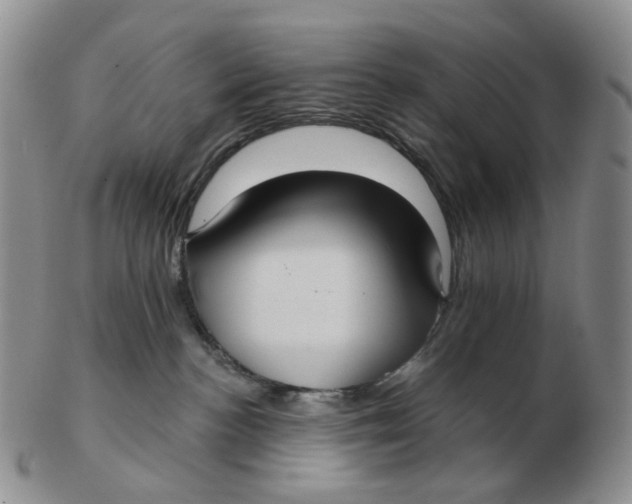 X0000103150188200809121824