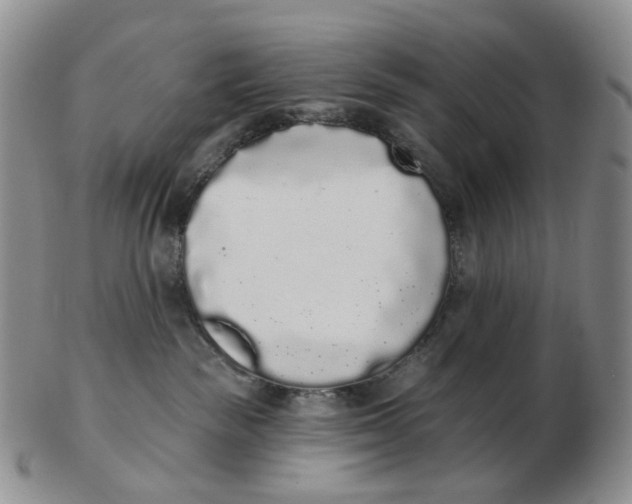 X0000103150189200809121824