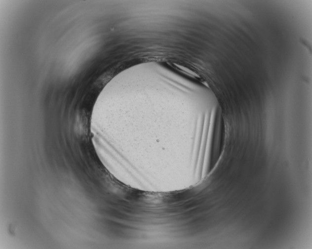 X0000103150190200809121824