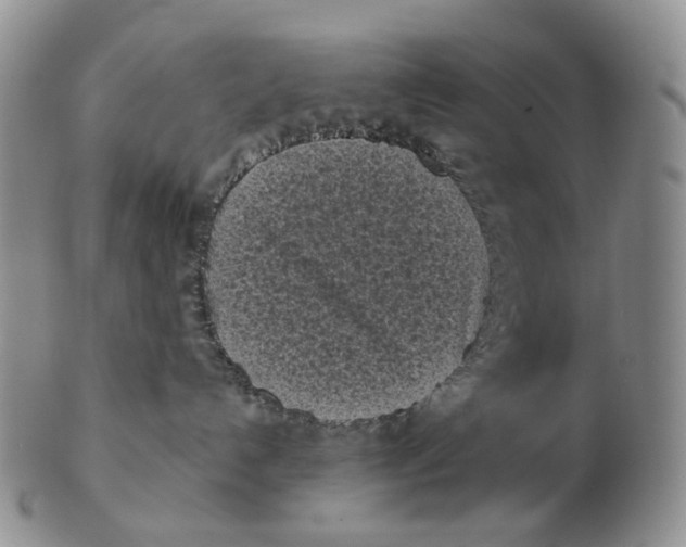 X0000103150192200809121824