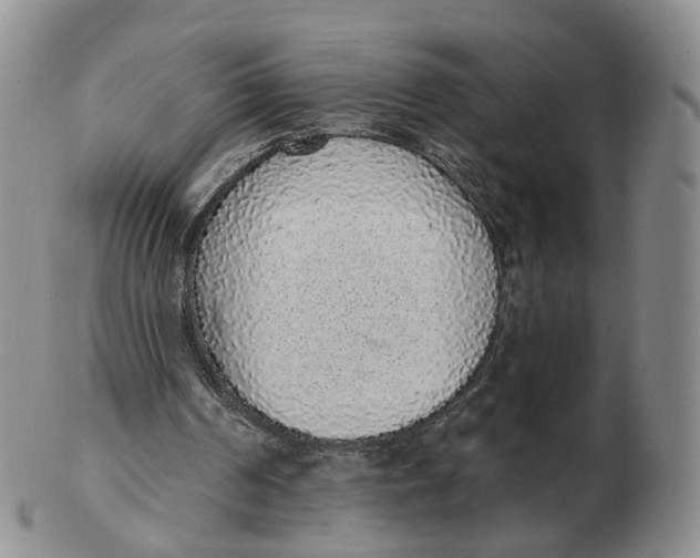 X0000103150194200809121824