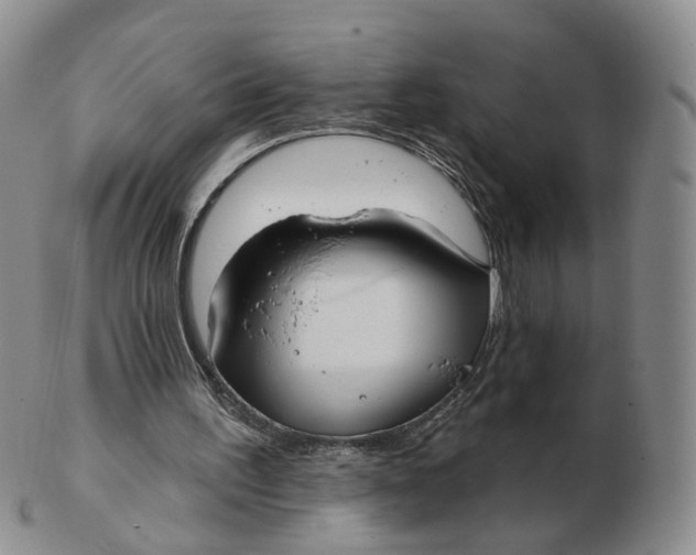 X0000103150195200809121823