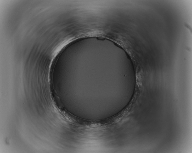 X0000103150196200809121823