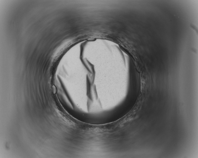 X0000103150197200809121823