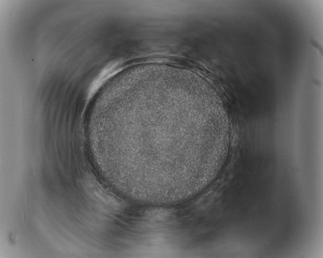 X0000103150198200809121823