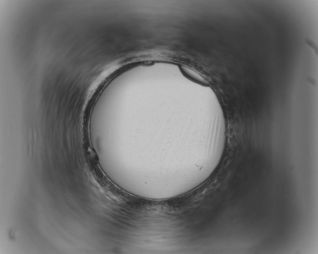 X0000103150200200809121823