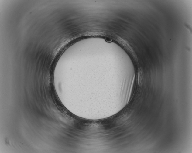 X0000103150204200809121823