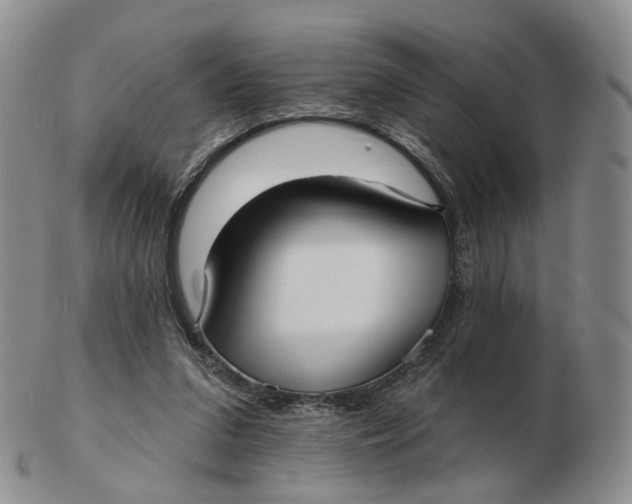 X0000103150207200809121823