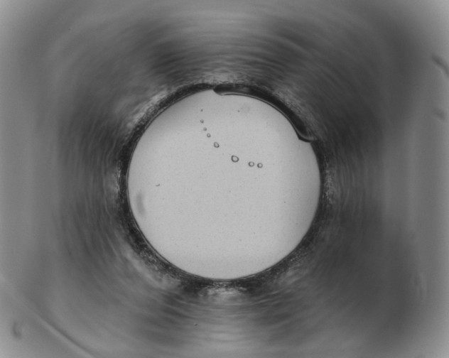 X0000103150208200809121823