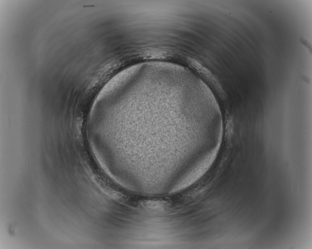 X0000103150209200809121823