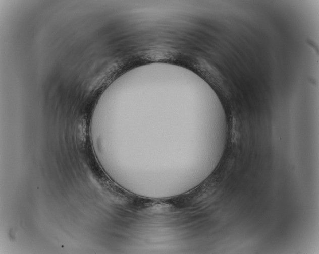 X0000103150210200809121823