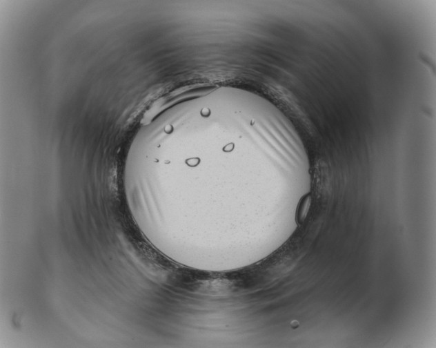 X0000103150212200809121823