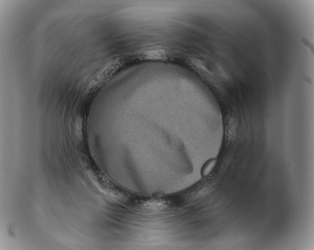 X0000103150213200809121823