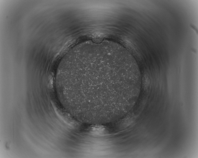 X0000103150214200809121823