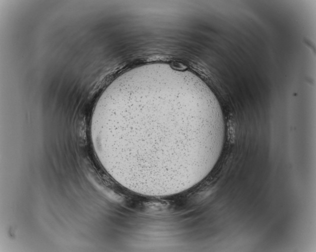 X0000103150215200809121823