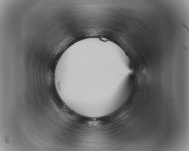 X0000103150216200809121823