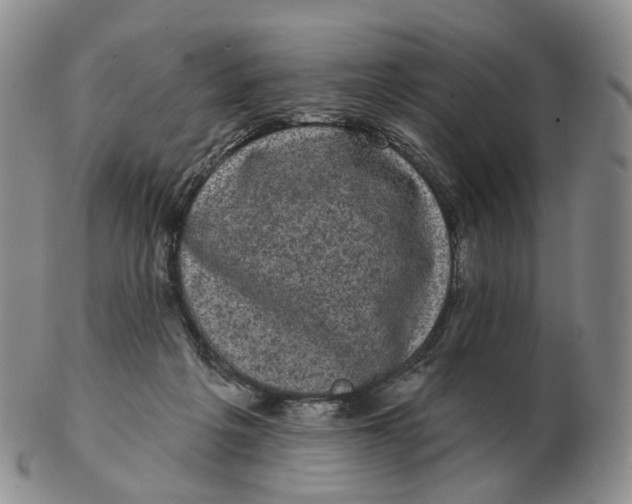 X0000103150217200809121823