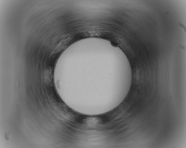 X0000103150218200809121823