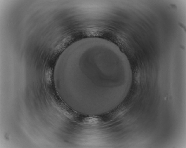 X0000103150219200809121823