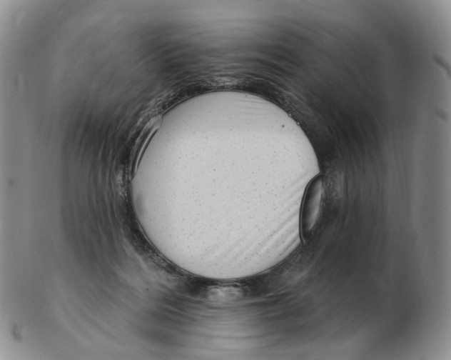 X0000103150220200809121823