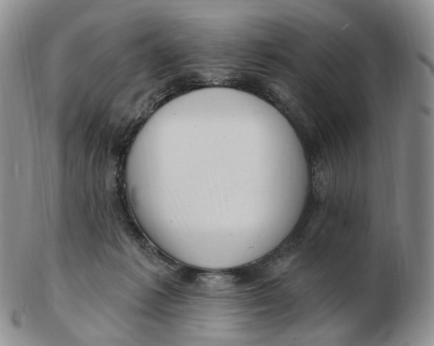 X0000103150221200809121823