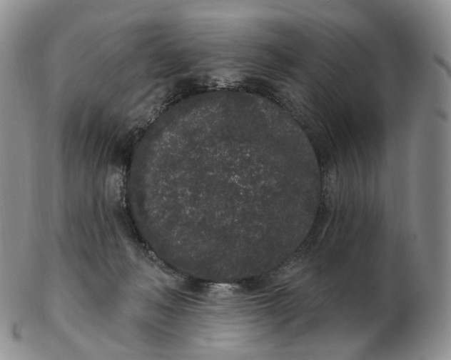 X0000103150222200809121823