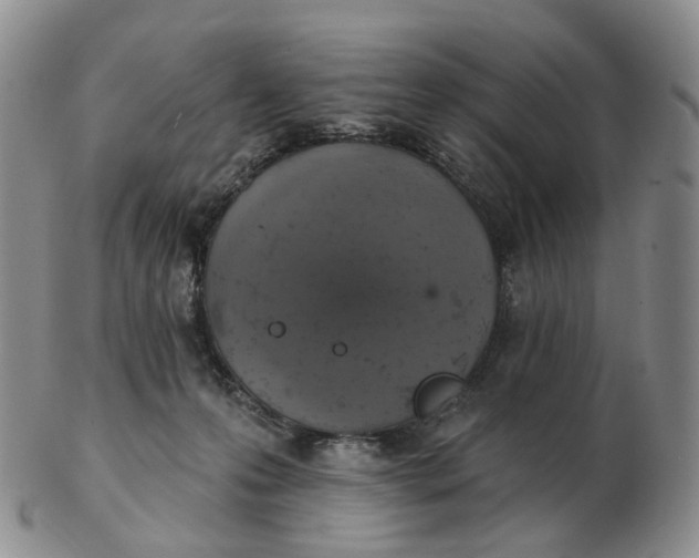 X0000103150223200809121823