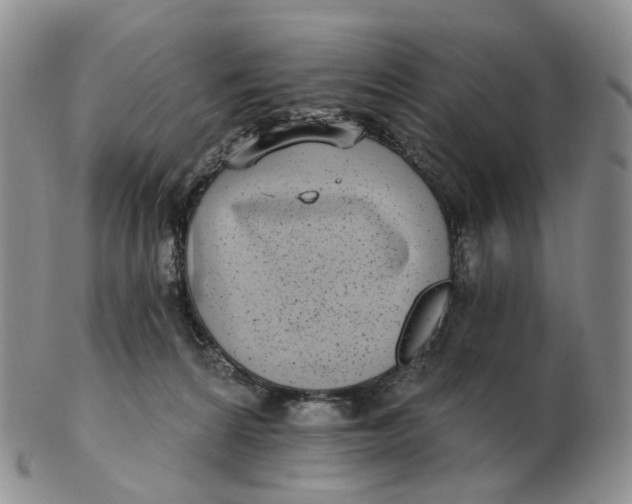 X0000103150224200809121823