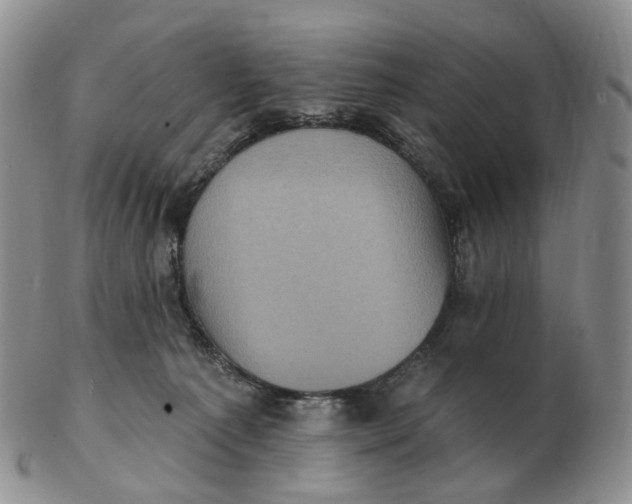 X0000103150225200809121823