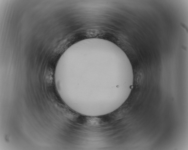 X0000103150226200809121823