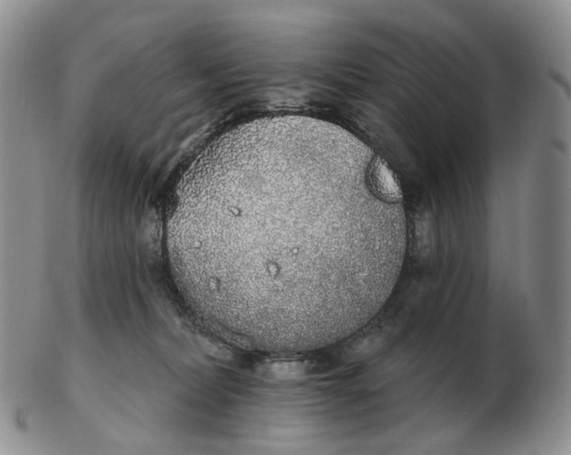 X0000103150228200809121823