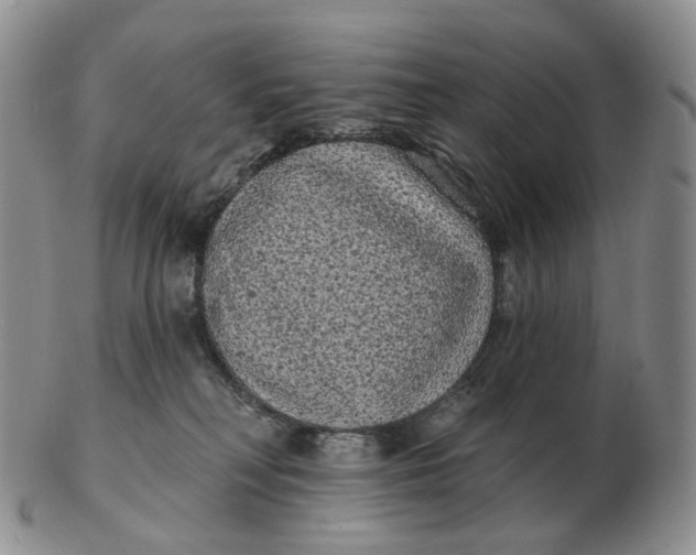 X0000103150230200809121823