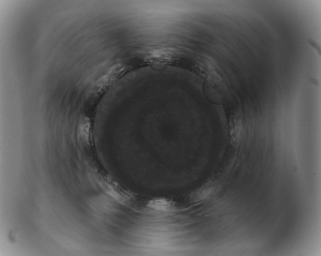 X0000103150231200809121823