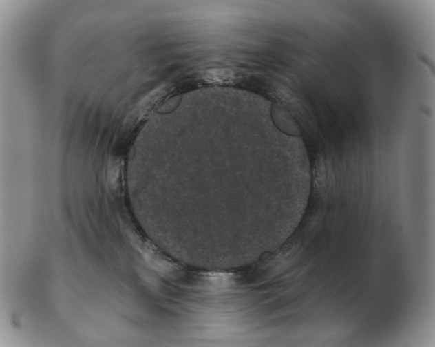 X0000103150233200809121823