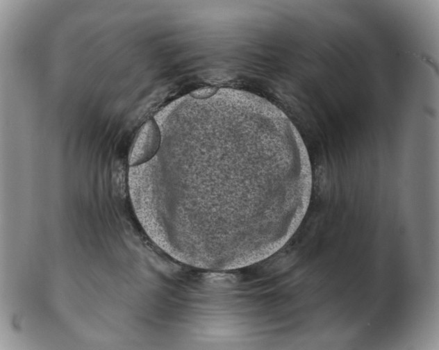 X0000103150234200809121823