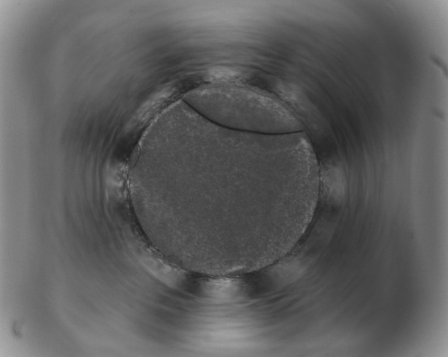 X0000103150237200809121823