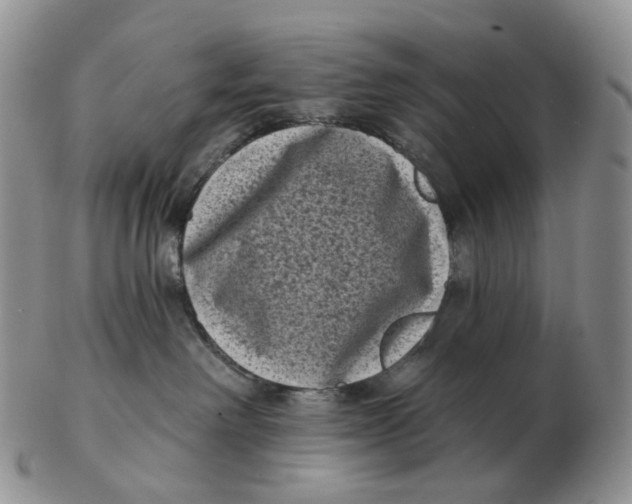 X0000103150238200809121823