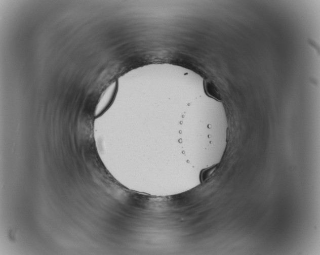 X0000103150240200809121823