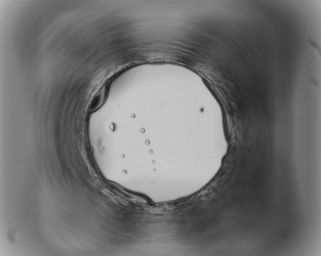 X0000103150241200809121822