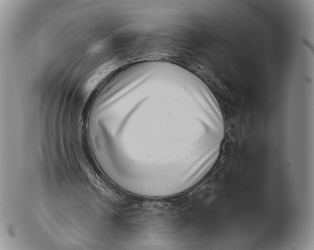 X0000103150242200809121822