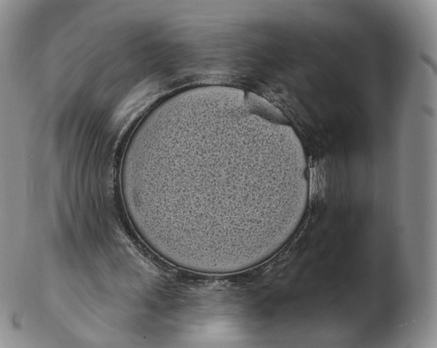 X0000103150243200809121822