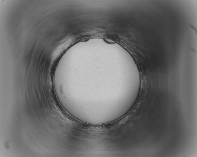 X0000103150245200809121822