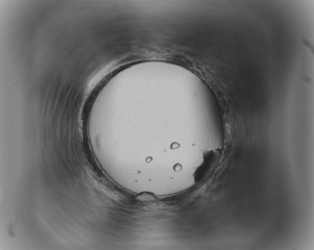 X0000103150246200809121822