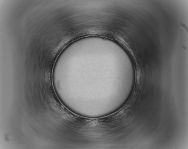 X0000103150249200809121822