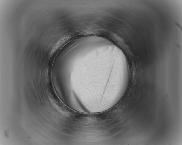 X0000103150250200809121822