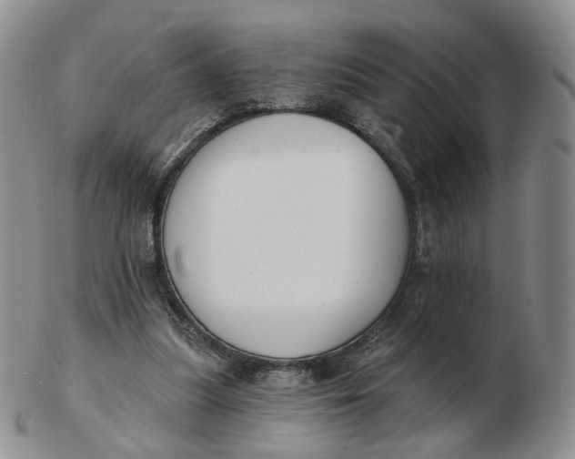 X0000103150251200809121822